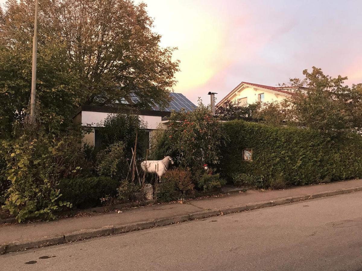 Zum alten Doktor Münsingen Exterior foto