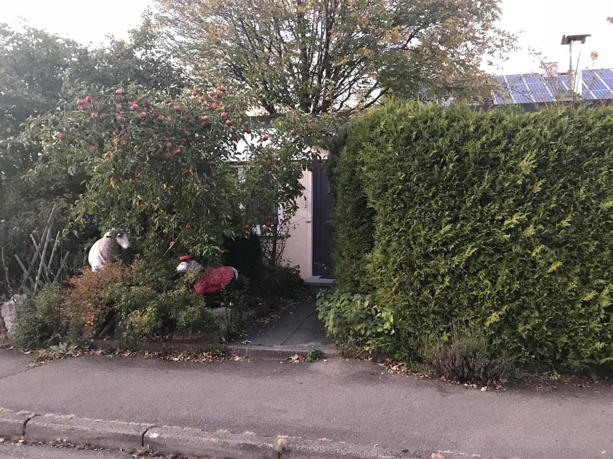 Zum alten Doktor Münsingen Exterior foto